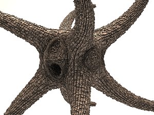 space station - octopus 3ds