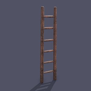 muddy ladder 3D model