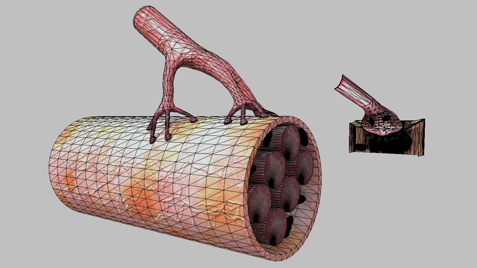 3D Model Neuromuscular Junction - TurboSquid 2409320