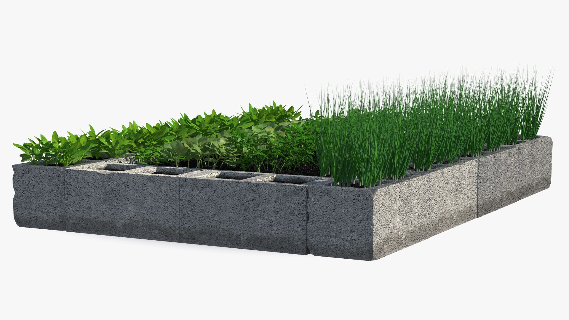 Raised Garden Bed With Various Plants Model - TurboSquid 2330687
