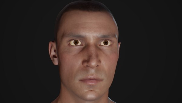 3D male head model