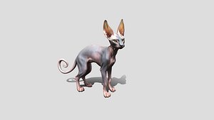 Sphynx Cat Animated 3D