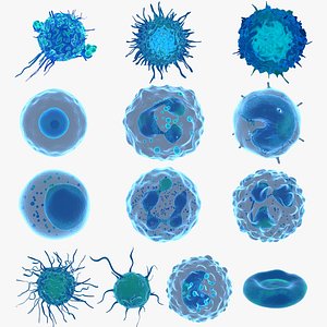 3D 3d model Lymphocytes pack collection model