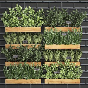 Decorative plants for the kitchen on wooden box 37