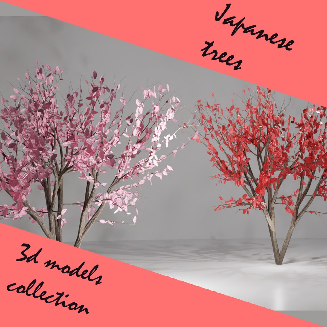 3D Japanese Trees Collection Model - TurboSquid 1965964