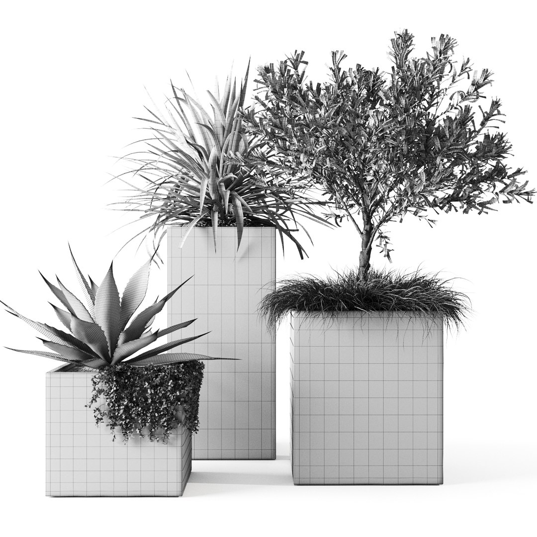 3D outdoor plants set pottery barn model https://p.turbosquid.com/ts-thumb/xr/QKGcRy/48vieqz8/preview_08/jpg/1596106587/1920x1080/fit_q87/394694a98de28dbbac0815d589c8ba96504271ee/preview_08.jpg