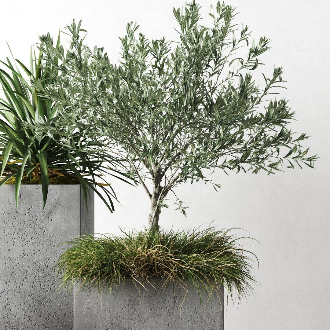 3D outdoor plants set pottery barn model https://p.turbosquid.com/ts-thumb/xr/QKGcRy/5qOk7CmB/preview_02/jpg/1596106585/1920x1080/fit_q87/9b36c0e4d5a0e97c24c7c22a8e582942dd3fc2a9/preview_02.jpg