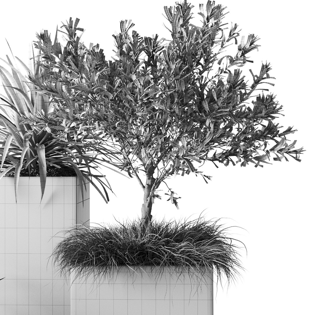 3D outdoor plants set pottery barn model https://p.turbosquid.com/ts-thumb/xr/QKGcRy/6BC2MNfr/preview_09/jpg/1596106587/1920x1080/fit_q87/c64cd5485d58a34d6b1d5e9525b5d07964df9080/preview_09.jpg