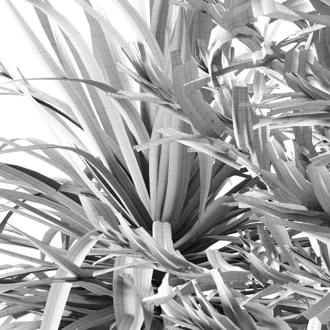 3D outdoor plants set pottery barn model https://p.turbosquid.com/ts-thumb/xr/QKGcRy/aYc826iK/preview_13/jpg/1596106589/1920x1080/fit_q87/b36f493709f2f7a41007f5f71d86af94ccc2546c/preview_13.jpg