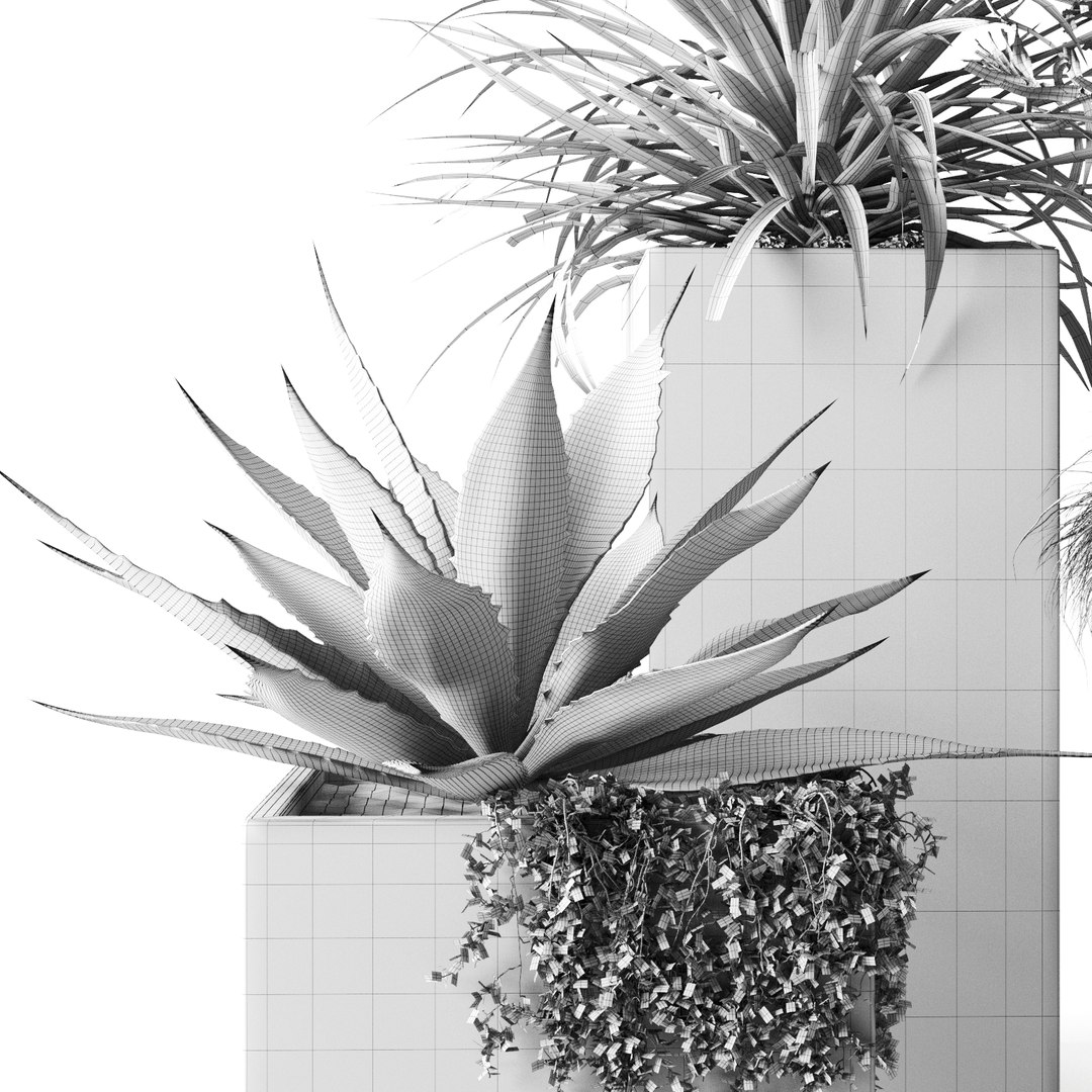 3D outdoor plants set pottery barn model https://p.turbosquid.com/ts-thumb/xr/QKGcRy/cDOeIumu/preview_10/jpg/1596106587/1920x1080/fit_q87/48050b64d928128fbcbc1ef7d6658638d8fc82d5/preview_10.jpg