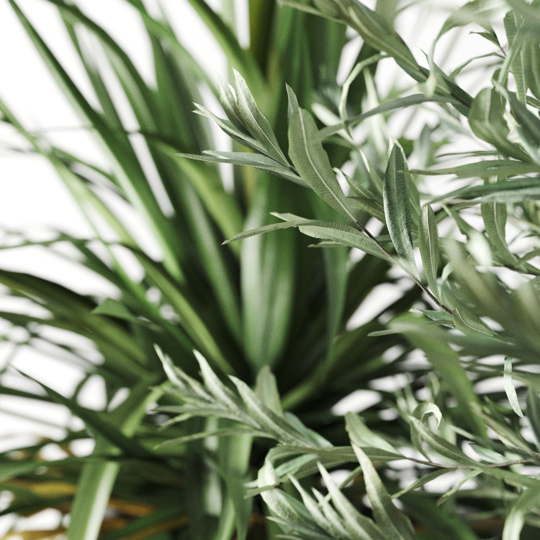 3D outdoor plants set pottery barn model https://p.turbosquid.com/ts-thumb/xr/QKGcRy/mqGMakWN/preview_06/jpg/1596106586/1920x1080/fit_q87/f1bc4e0a654fa05795dd3e5f9dd97715c9ef14d2/preview_06.jpg