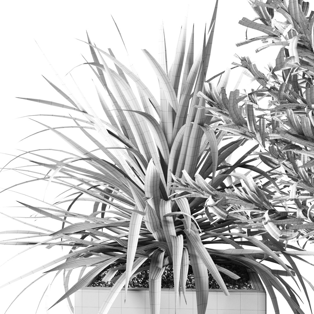 3D outdoor plants set pottery barn model https://p.turbosquid.com/ts-thumb/xr/QKGcRy/n1gQEdBQ/preview_11/jpg/1596106588/1920x1080/fit_q87/548e0e0048956b2ac4558696c2f04e7cc14097d3/preview_11.jpg