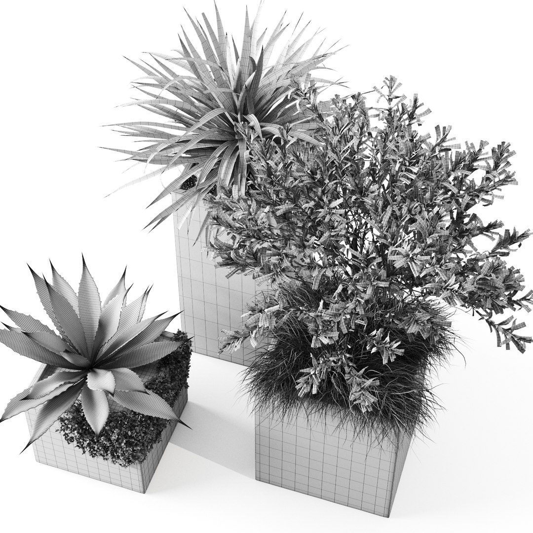 3D outdoor plants set pottery barn model https://p.turbosquid.com/ts-thumb/xr/QKGcRy/sa2jHWYU/preview_14/jpg/1596106589/1920x1080/fit_q87/c4c0596803b33a1e20c46043cdc942d1d7868586/preview_14.jpg