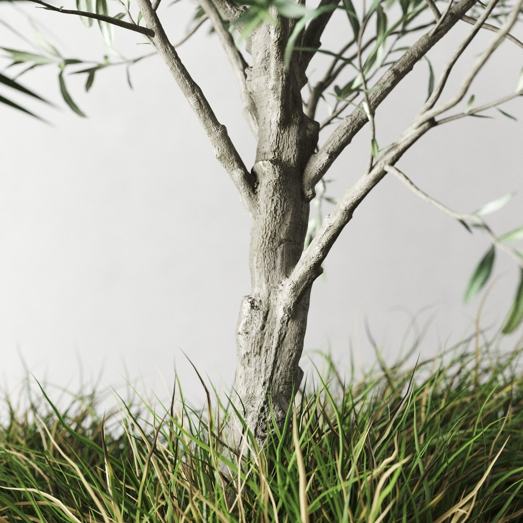 3D outdoor plants set pottery barn model https://p.turbosquid.com/ts-thumb/xr/QKGcRy/yCweTgTE/preview_05/jpg/1596106586/1920x1080/fit_q87/c1f9328c385903b8573e78e120bac439f71fe62d/preview_05.jpg