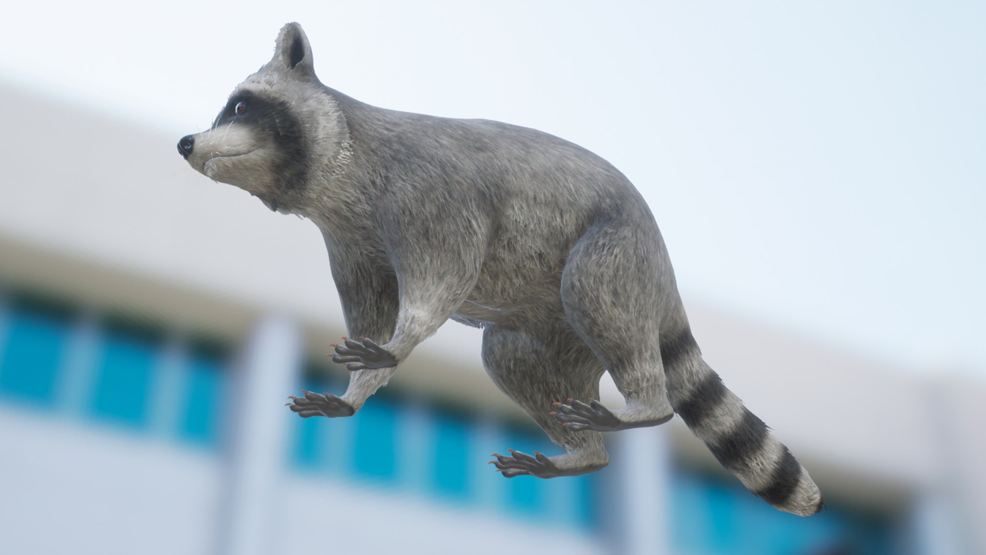 Raccoon 3D Model - TurboSquid 2151797