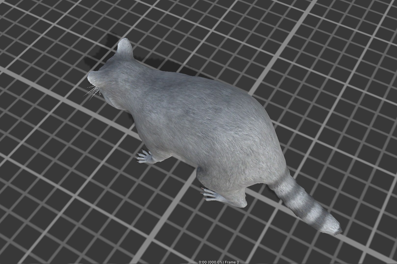 Raccoon 3D Model - TurboSquid 2151797