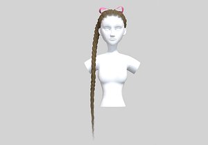 3D Braids Ponytail Hairstyle