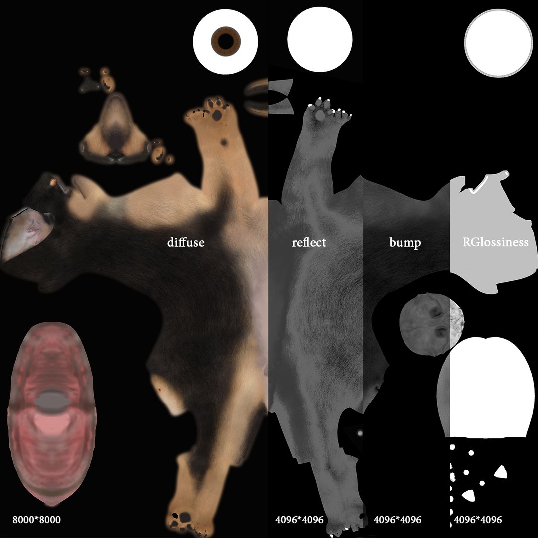 max miniature pinscher dog https://p.turbosquid.com/ts-thumb/xr/dorQOl/M80x3U7w/texturesmap/jpg/1430700938/1920x1080/fit_q87/84a79a5b961df63ebe61af36371eea85582d931b/texturesmap.jpg