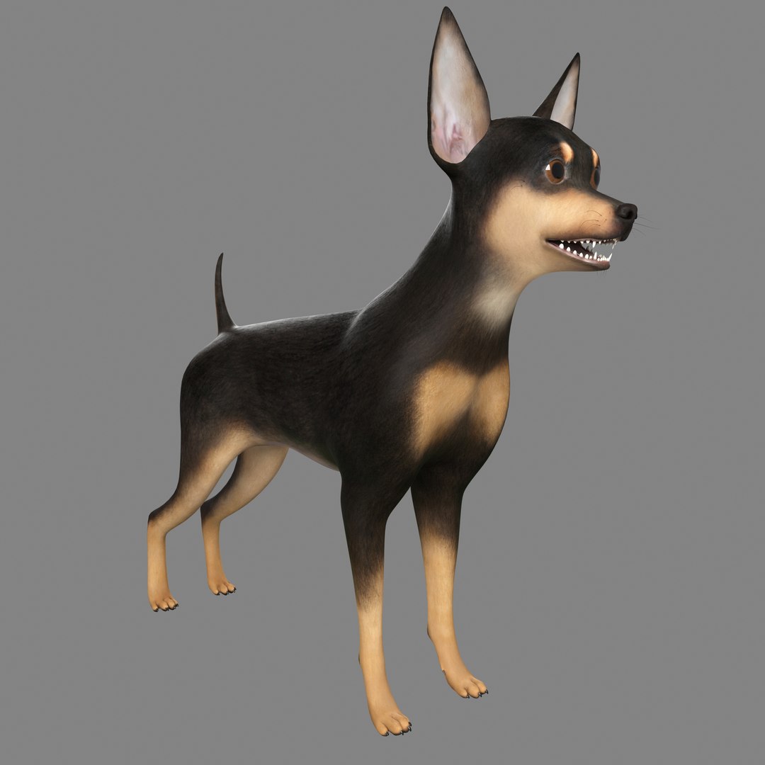 max miniature pinscher dog https://p.turbosquid.com/ts-thumb/xr/dorQOl/N3WsJYy1/1_view01/jpg/1430935734/1920x1080/fit_q87/86ae125a0b59161498444a50912190da5054387e/1_view01.jpg