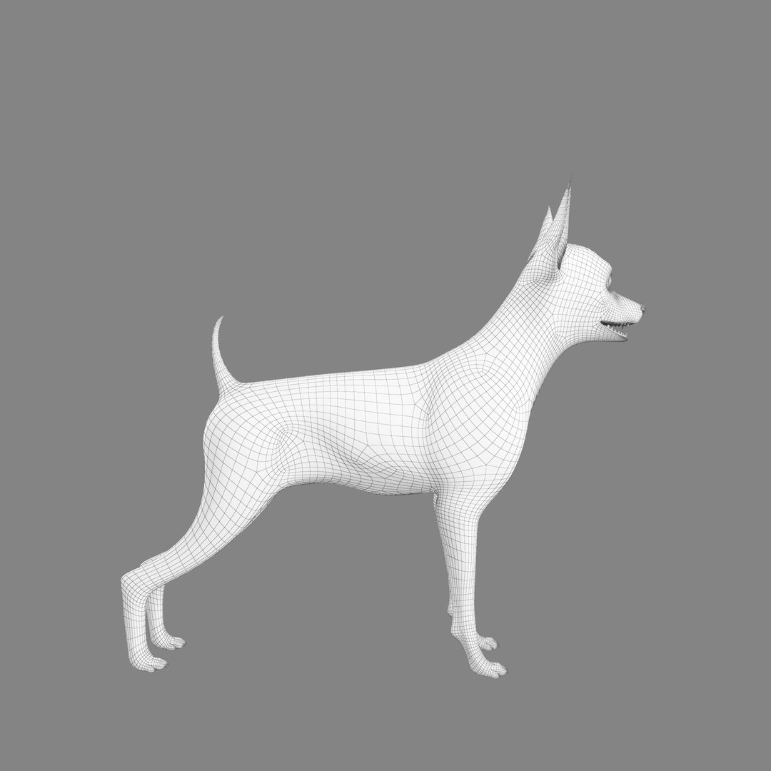 max miniature pinscher dog https://p.turbosquid.com/ts-thumb/xr/dorQOl/RHfN1Ops/tex3/jpg/1430935734/1920x1080/fit_q87/4138a0ee380f12e3974ee9a49c2cc162203c7940/tex3.jpg