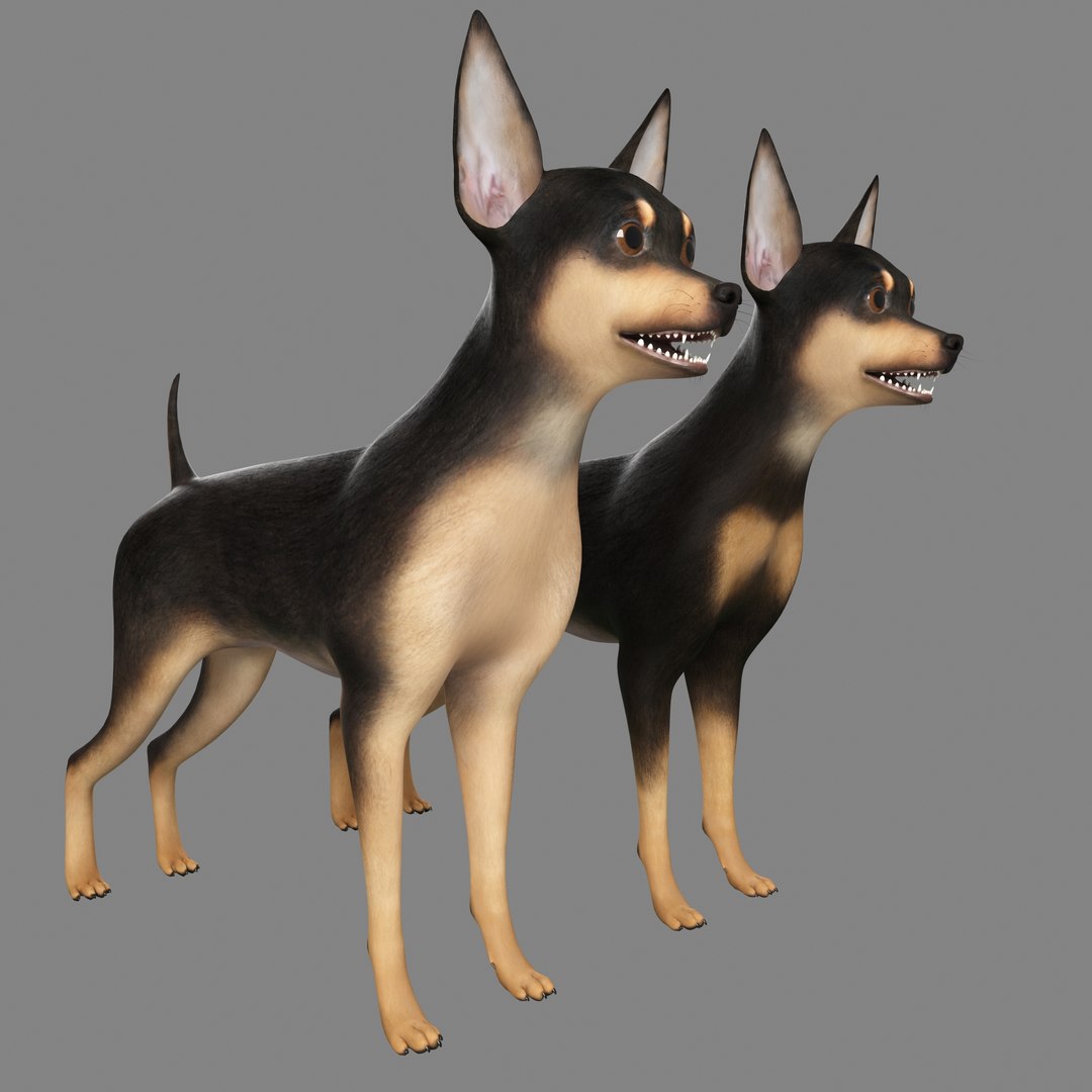max miniature pinscher dog https://p.turbosquid.com/ts-thumb/xr/dorQOl/jHiKlM01/main02/jpg/1430935734/1920x1080/fit_q87/b1aa9d54f89b407d7bc79e26d5aea7aa23061ce1/main02.jpg