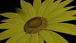 3D Sun Flower
