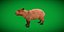3D Capybara model
