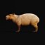 3D Capybara model