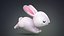 Cartoon Rabbit Bunny 2