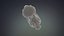 Cartoon Rabbit Bunny 2