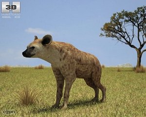 crocuta hyena spotted 3d 3ds