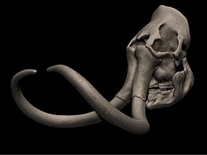 Woolly Mammoth Skull 3D print model