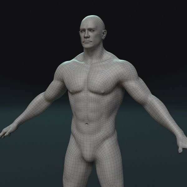 human male 3D model