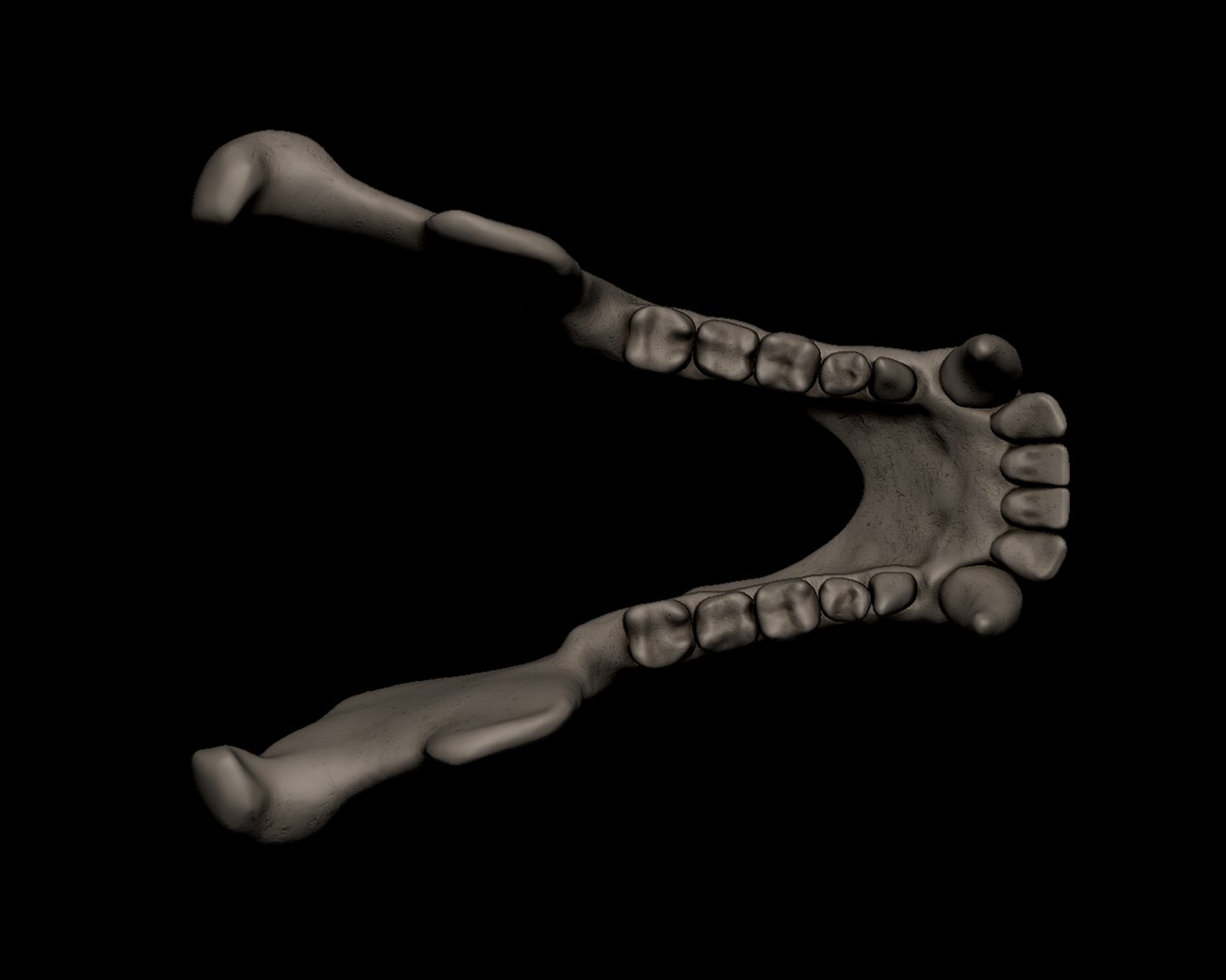 3D Chimpanzee Skull https://p.turbosquid.com/ts-thumb/xs/kEHXjd/YZ/66/png/1745151439/1920x1080/fit_q87/872b1261b7a11a31cb33070b4209612a8131b903/66.jpg