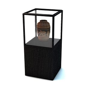 Display case with vase