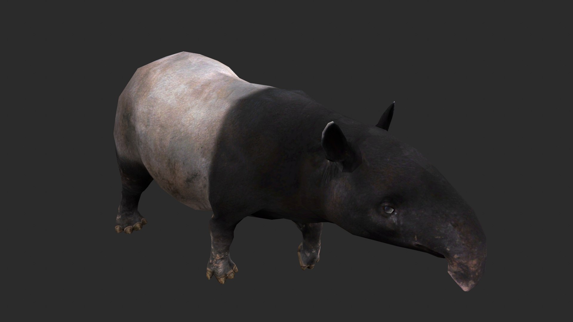 Animated Tapir 3D Model - TurboSquid 2222166