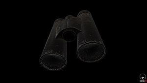 binocular 3D model