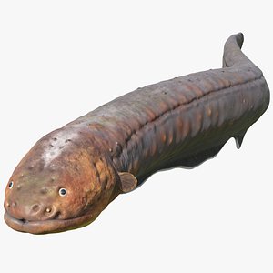 Electric Eel Swimming Pose