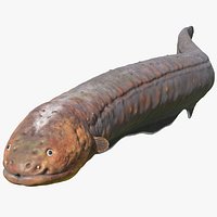 Electric Eel Swimming Pose