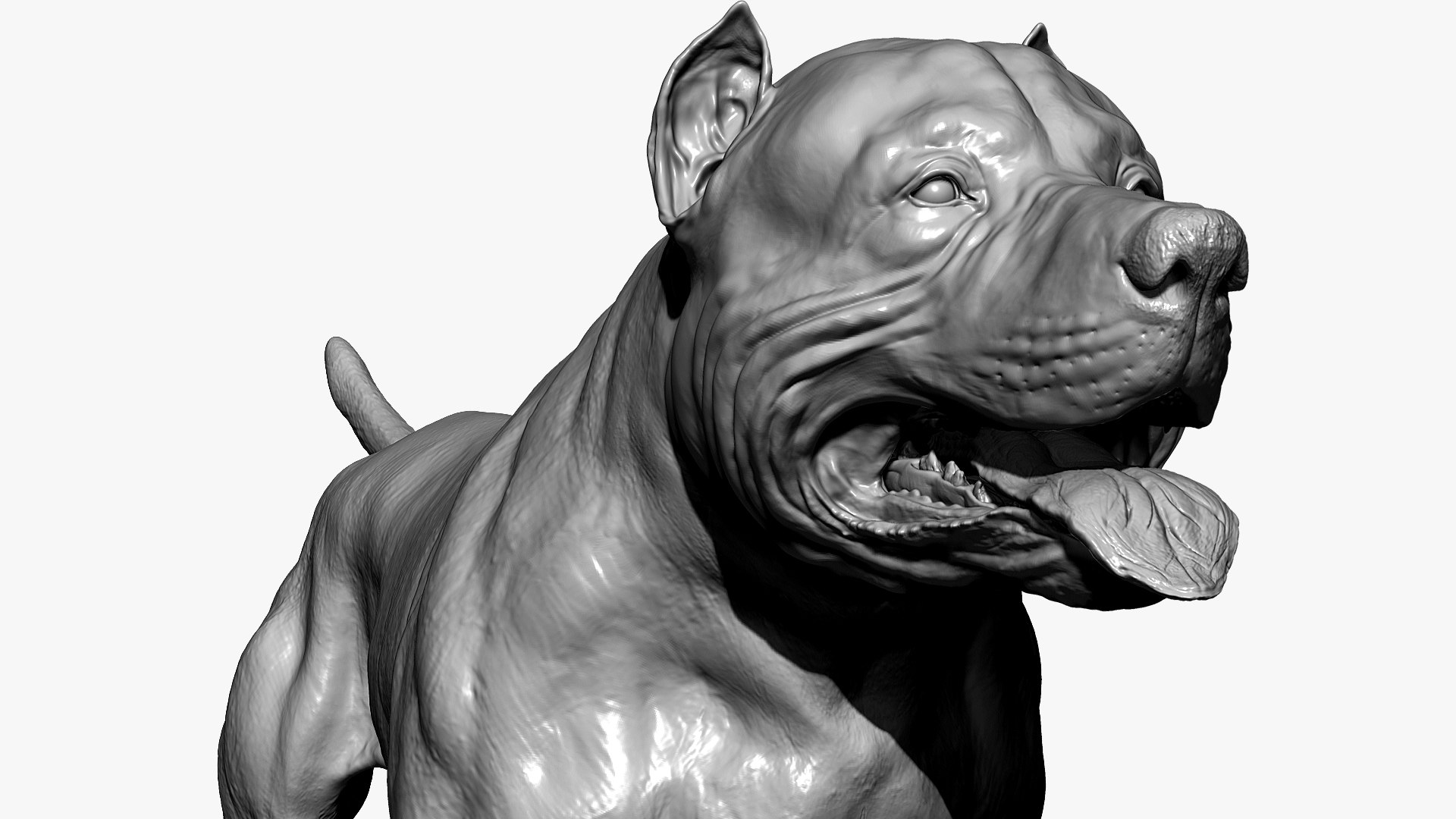 American Pit Bull Terrier 3D model https://p.turbosquid.com/ts-thumb/xt/9j6eFO/4v/bpr_render3/jpg/1625592391/1920x1080/fit_q87/87814c773b843f5fd38cb18e59fc2386fdd6a4bc/bpr_render3.jpg