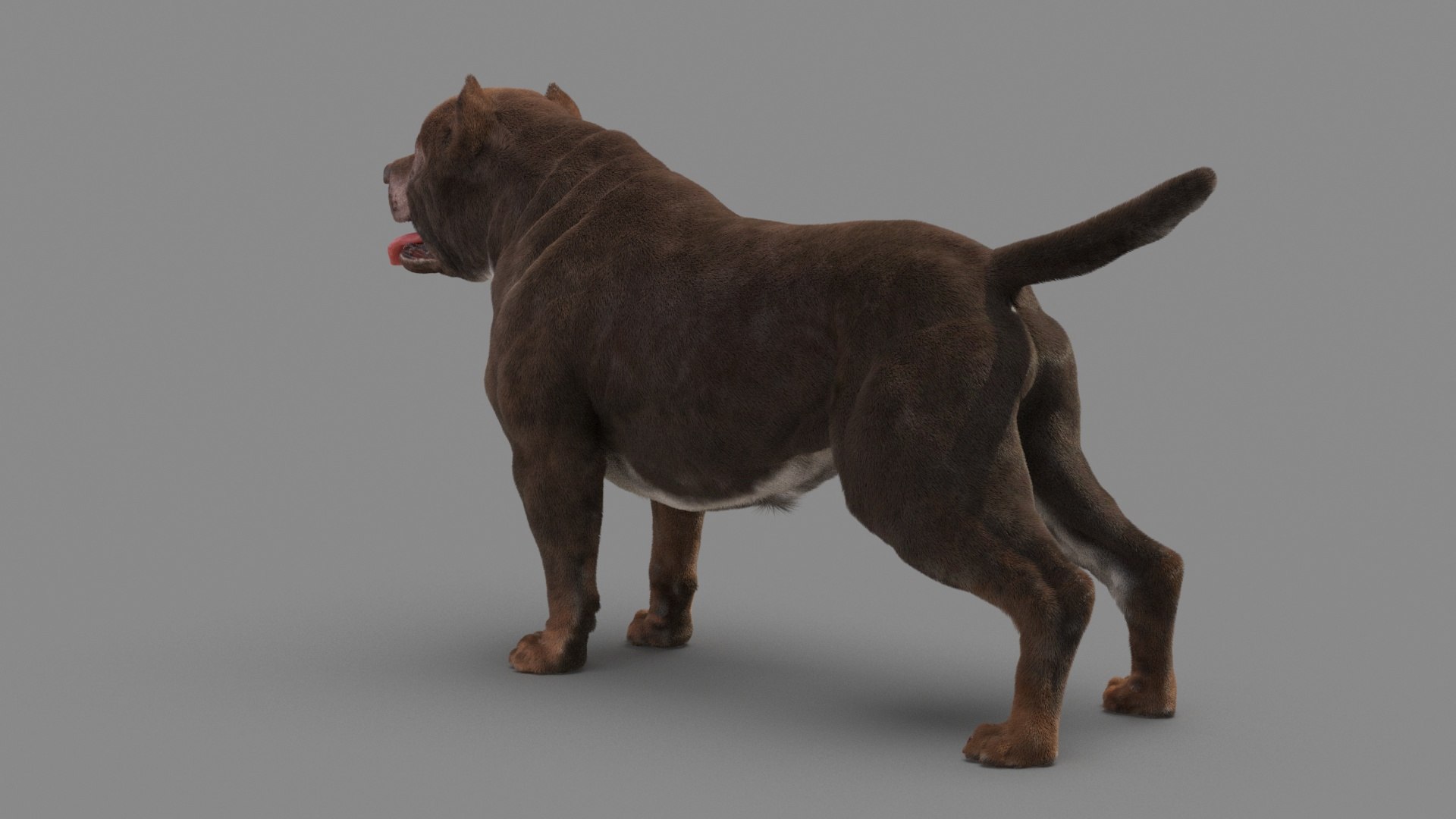 American Pit Bull Terrier 3D model https://p.turbosquid.com/ts-thumb/xt/9j6eFO/EW/dog_0020/jpg/1625594772/1920x1080/fit_q87/f89aada4bdb6383cf5cc40a0825b6c5ee91392ac/dog_0020.jpg