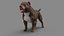 American Pit Bull Terrier