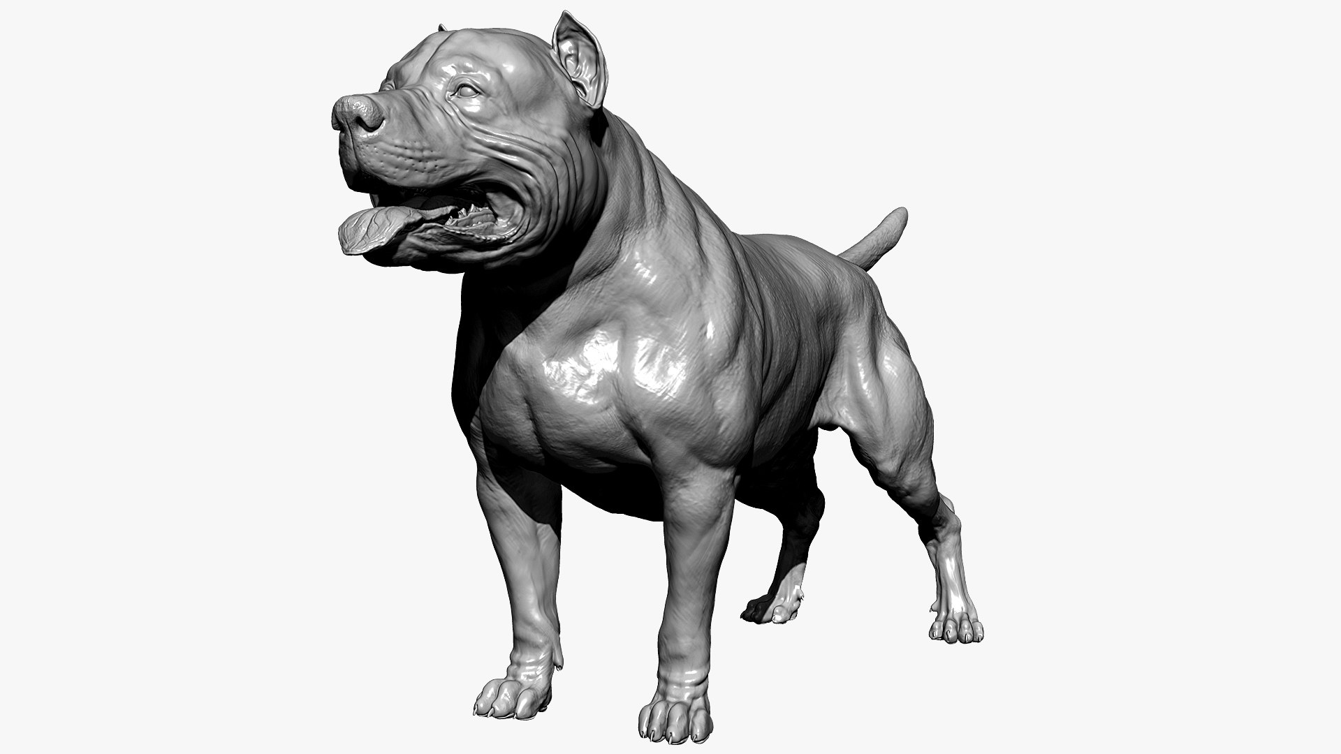 American Pit Bull Terrier 3D model https://p.turbosquid.com/ts-thumb/xt/9j6eFO/Lh/bpr_render/jpg/1625592391/1920x1080/fit_q87/f813b807ba1515f8febaba69e560fb05ea3a2fd3/bpr_render.jpg