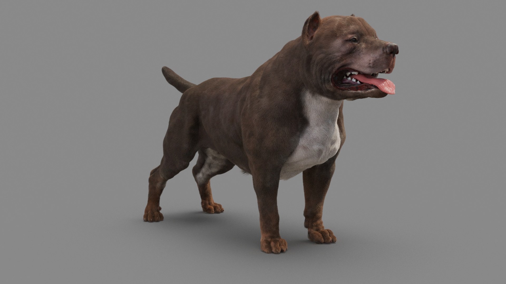 American Pit Bull Terrier 3D model https://p.turbosquid.com/ts-thumb/xt/9j6eFO/Op/dog_0005/jpg/1625593106/1920x1080/fit_q87/17cb0fc21c96e67c90211314ff9bf4bf732647f6/dog_0005.jpg