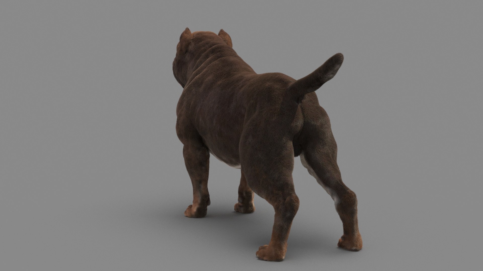 American Pit Bull Terrier 3D model https://p.turbosquid.com/ts-thumb/xt/9j6eFO/Ov/dog_0018/jpg/1625593107/1920x1080/fit_q87/0c0759f413e83428972a04761d757938a8ce48c5/dog_0018.jpg