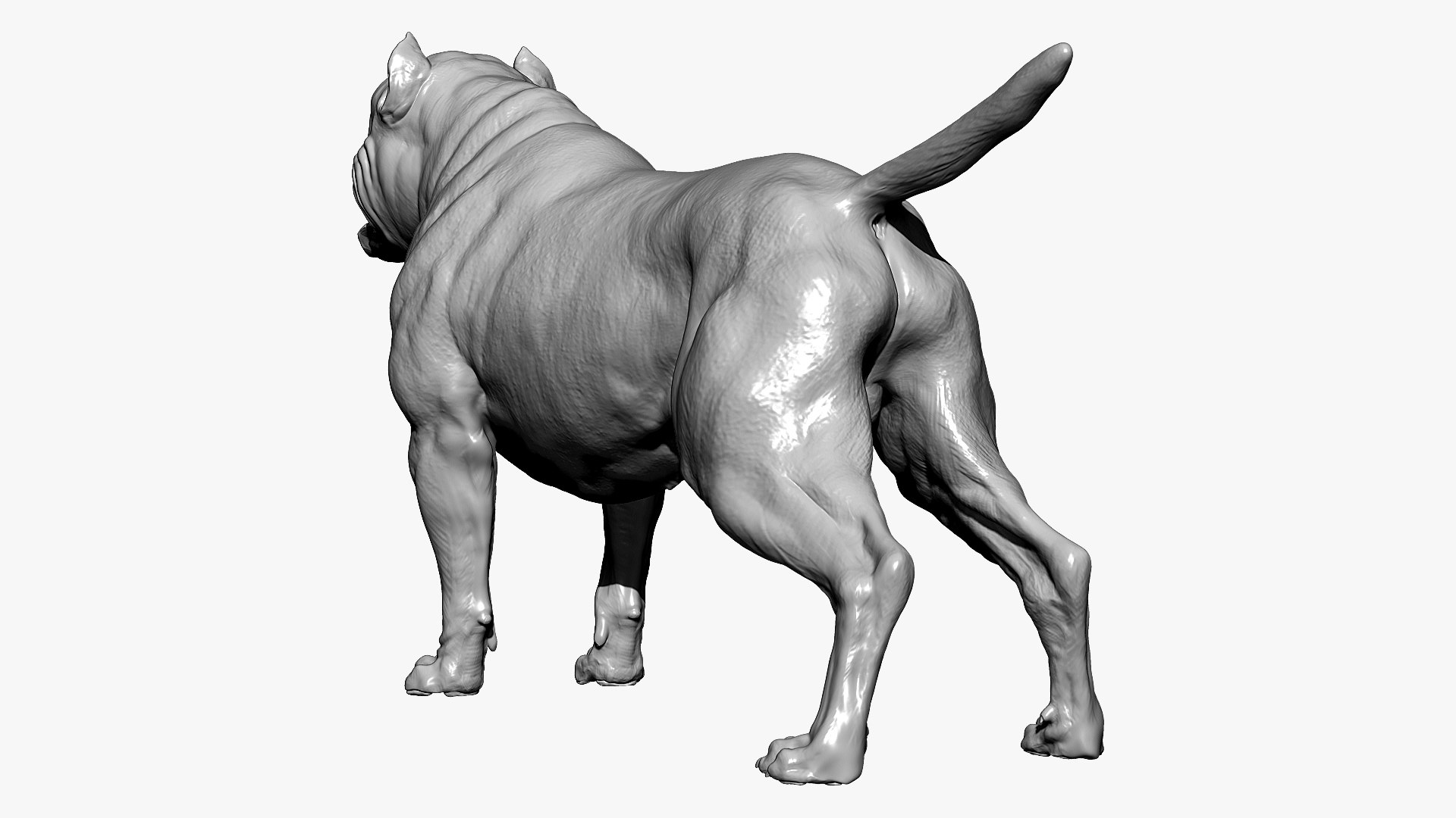 American Pit Bull Terrier 3D model https://p.turbosquid.com/ts-thumb/xt/9j6eFO/WP/bpr_render2/jpg/1625592391/1920x1080/fit_q87/b0e105b55dde69aeafaf810994868681e37ace86/bpr_render2.jpg
