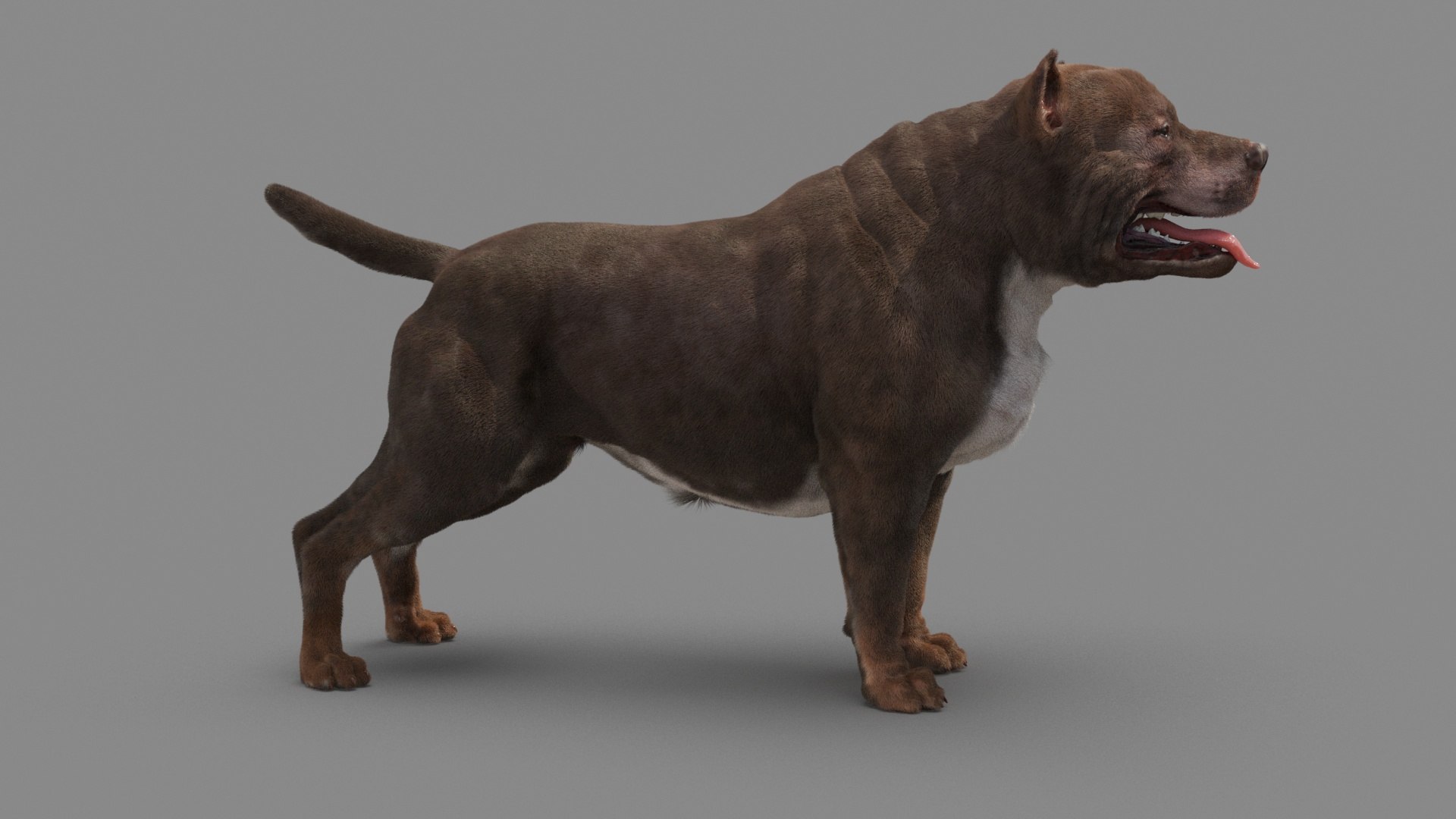 American Pit Bull Terrier 3D model https://p.turbosquid.com/ts-thumb/xt/9j6eFO/gs/dog_0008/jpg/1625593105/1920x1080/fit_q87/c8ad6e06c54a74e048a5d81043bdefaf73326ab3/dog_0008.jpg