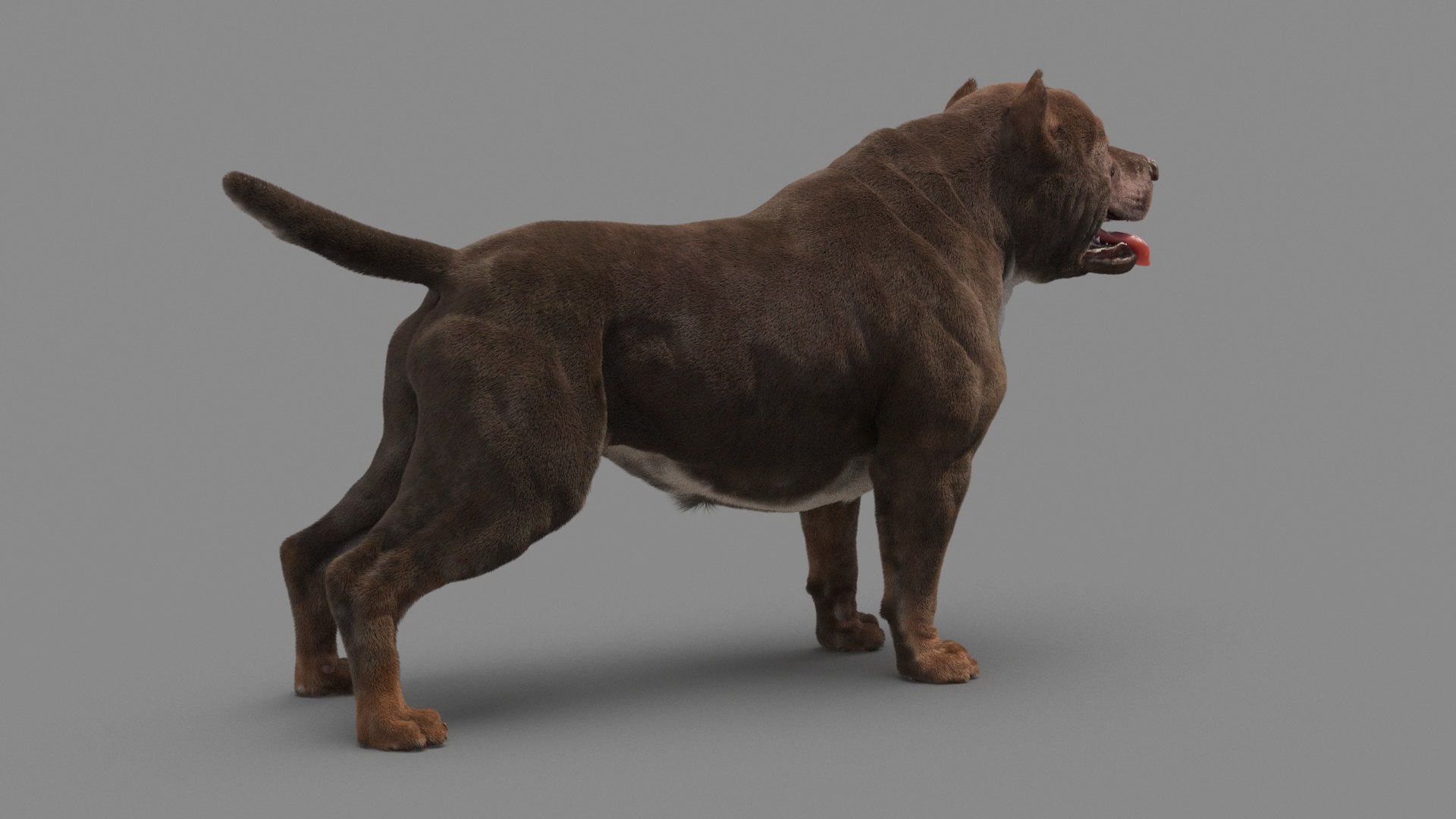 American Pit Bull Terrier 3D model https://p.turbosquid.com/ts-thumb/xt/9j6eFO/hX/dog_0011/jpg/1625593105/1920x1080/fit_q87/36a2f88a4304f7d154c093c88dc4d9a0275c046f/dog_0011.jpg