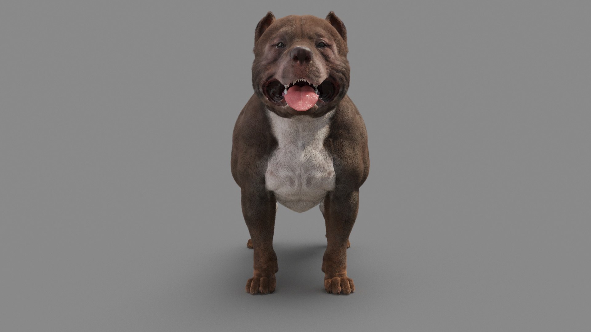 American Pit Bull Terrier 3D model https://p.turbosquid.com/ts-thumb/xt/9j6eFO/jG/dog_0002/jpg/1625593105/1920x1080/fit_q87/d997144c4706a3a138a1c3a90a21e259e3f2c0bc/dog_0002.jpg