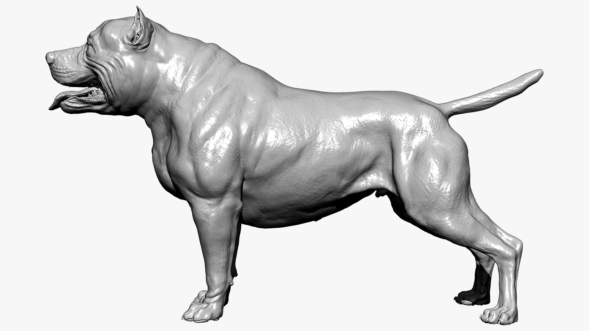 American Pit Bull Terrier 3D model https://p.turbosquid.com/ts-thumb/xt/9j6eFO/ph/bpr_render1/jpg/1625592391/1920x1080/fit_q87/a3a4b2165761a01fd7d04cd0291696fb369de319/bpr_render1.jpg
